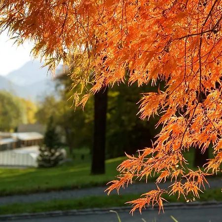 Schloss Ragaz Hotell Bad Ragaz