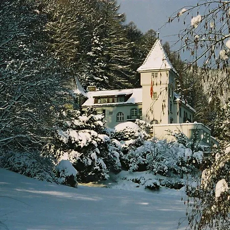 Отель Schloss Ragaz 3*