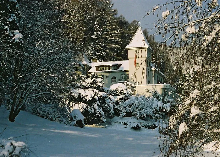 Hotel Schloss Ragaz 3*